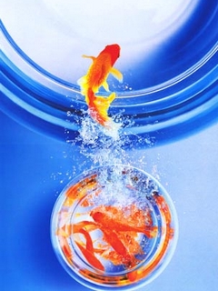 un poisson